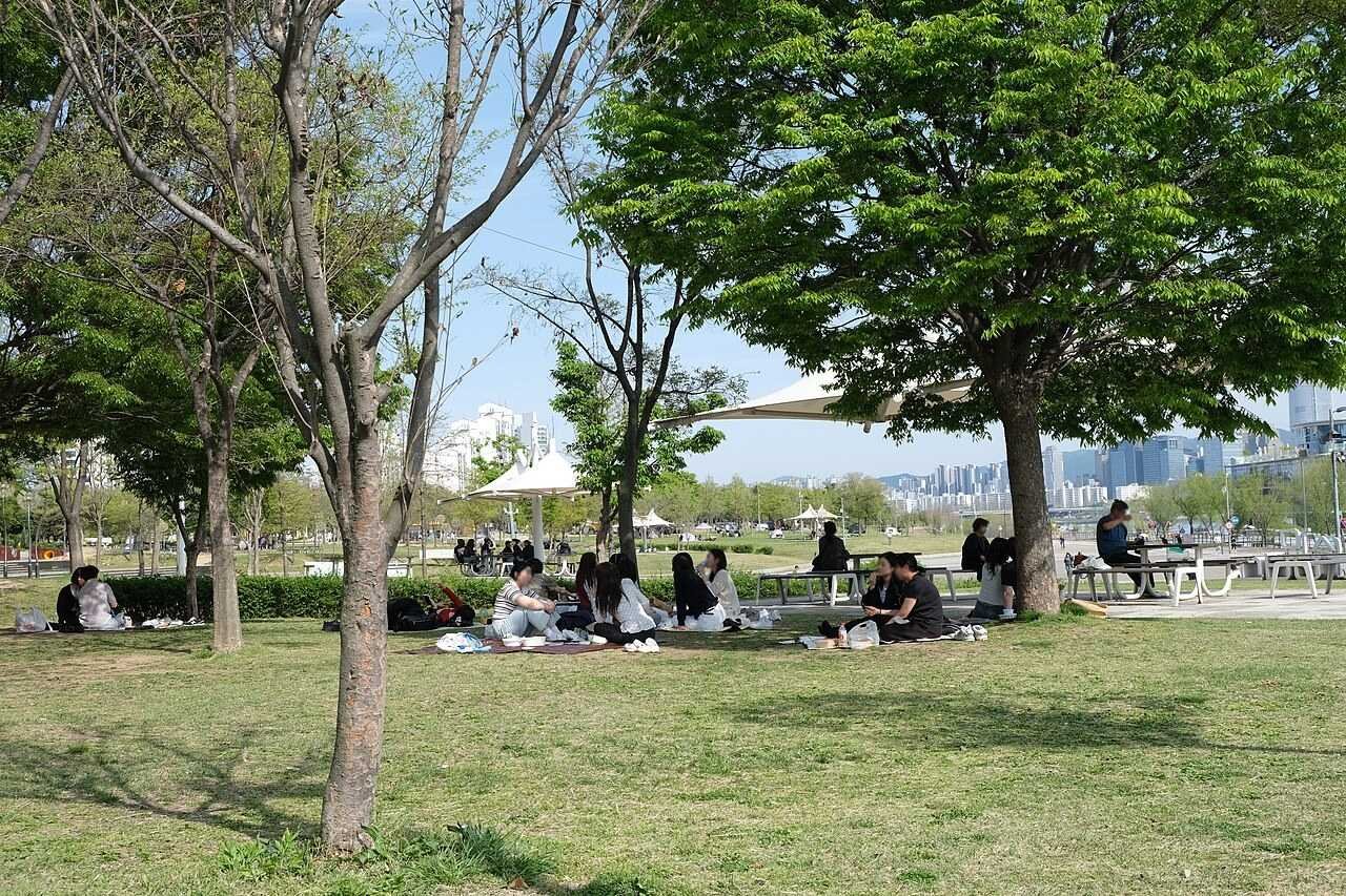 뚝섬한강공원 잔디와 산책로