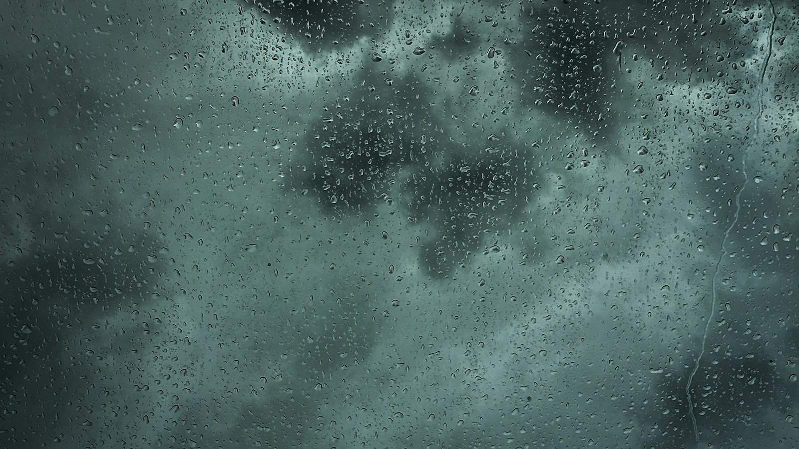 https://commons.wikimedia.org/wiki/File:Rainy_season_in_Seoul_-_2025_-_54600623617.jpg