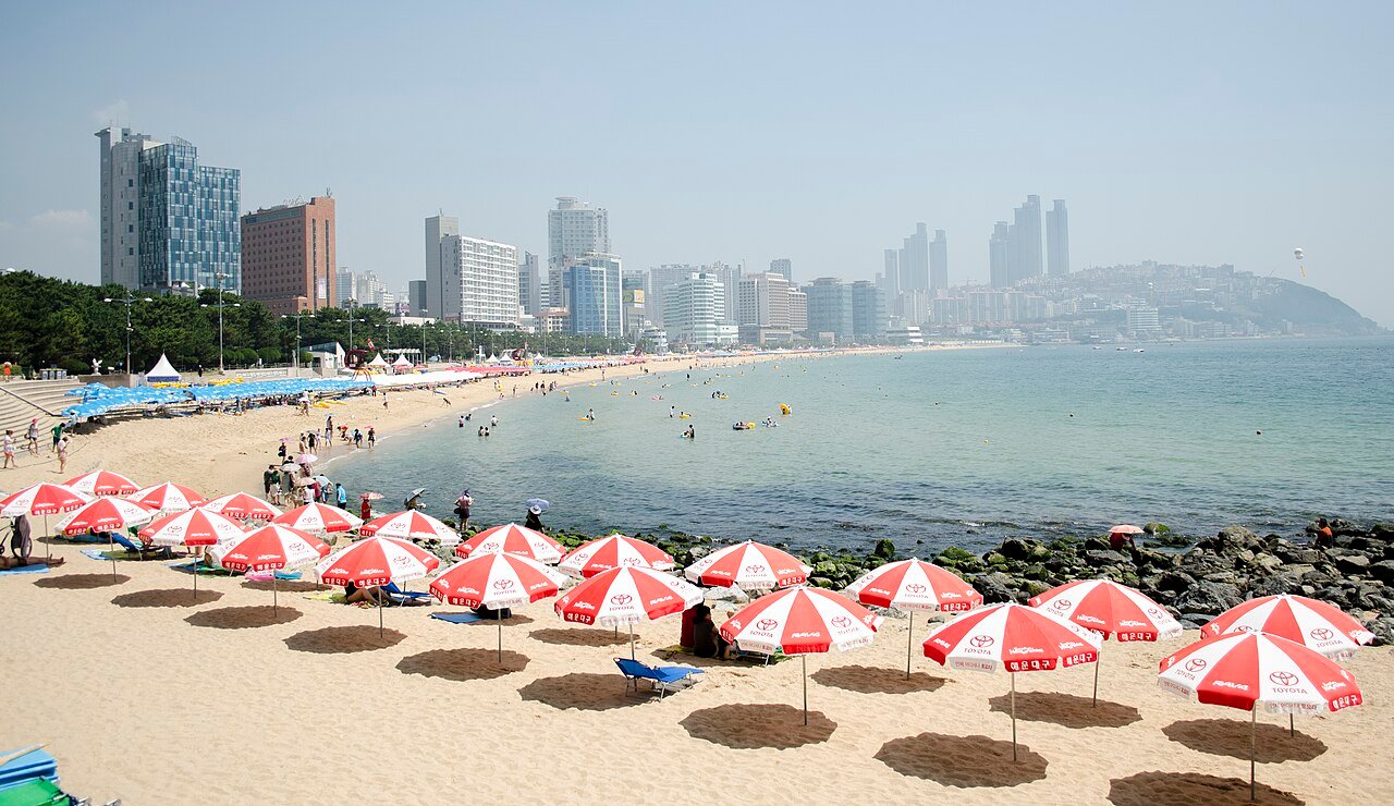 여름 해변 전경
