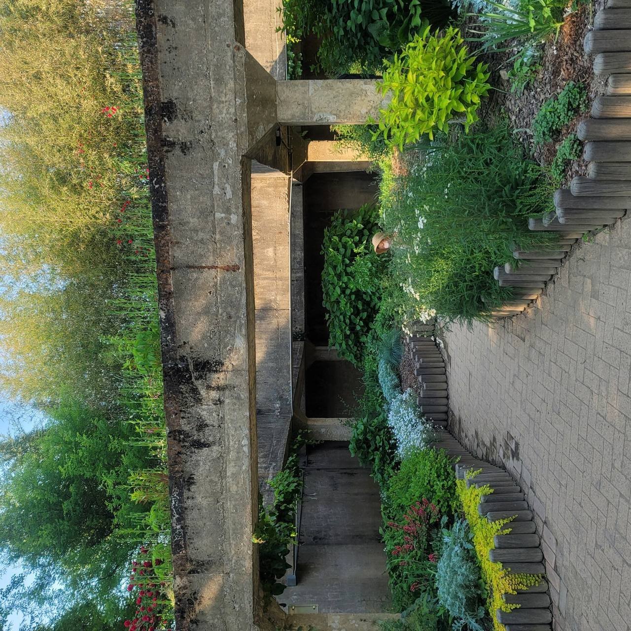 서울숲 산책로