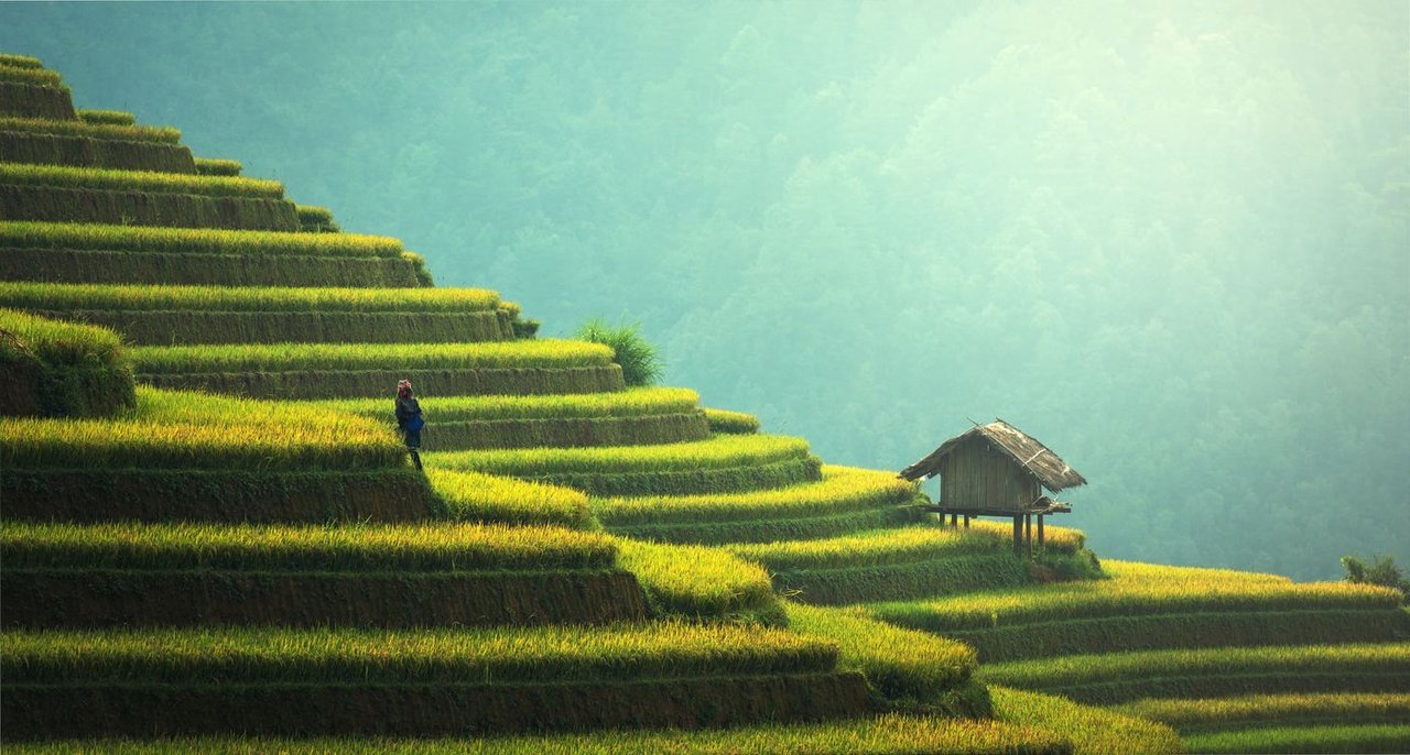 Hanok eaves photo