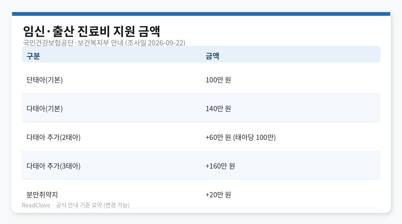 단태아 100만·다태아 기본 140만·추가·취약지 금액 표 차트