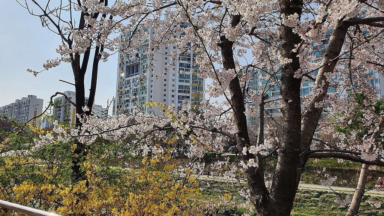 LH 행복주택 신청 2026 — 자격·소득·자산·청약플러스 절차