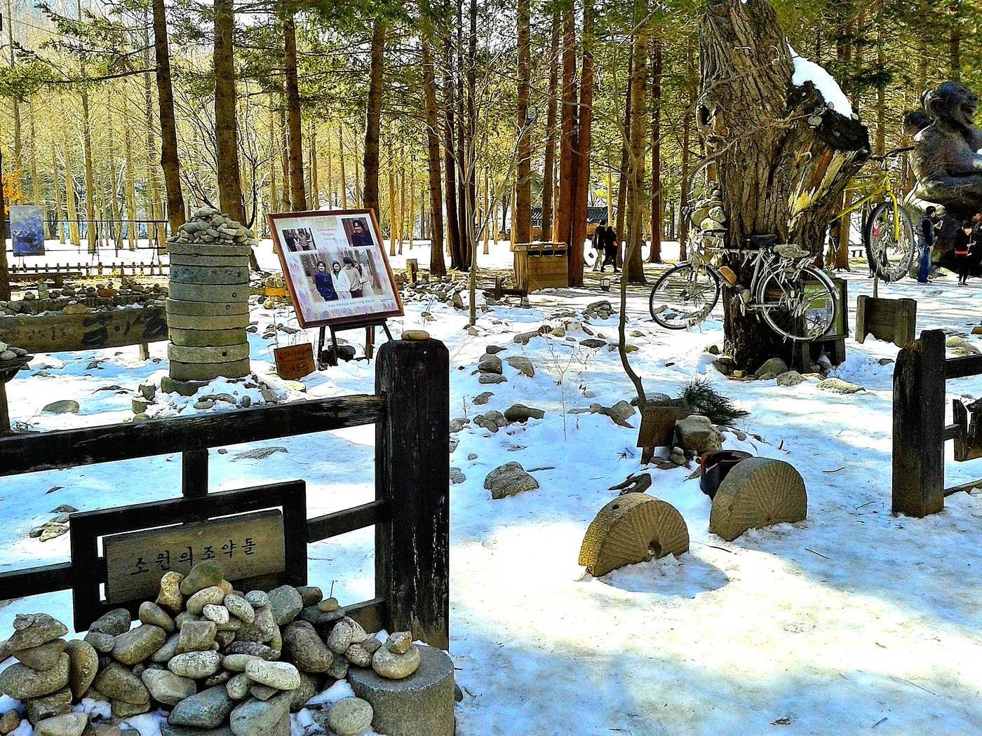 남이섬 겨울철 산책로 실사