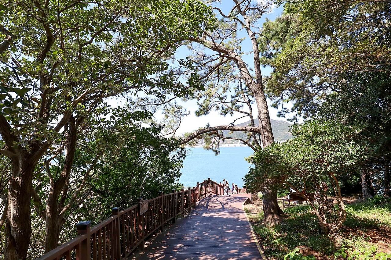 오동도 동백림 산책로와 나무 그늘 길