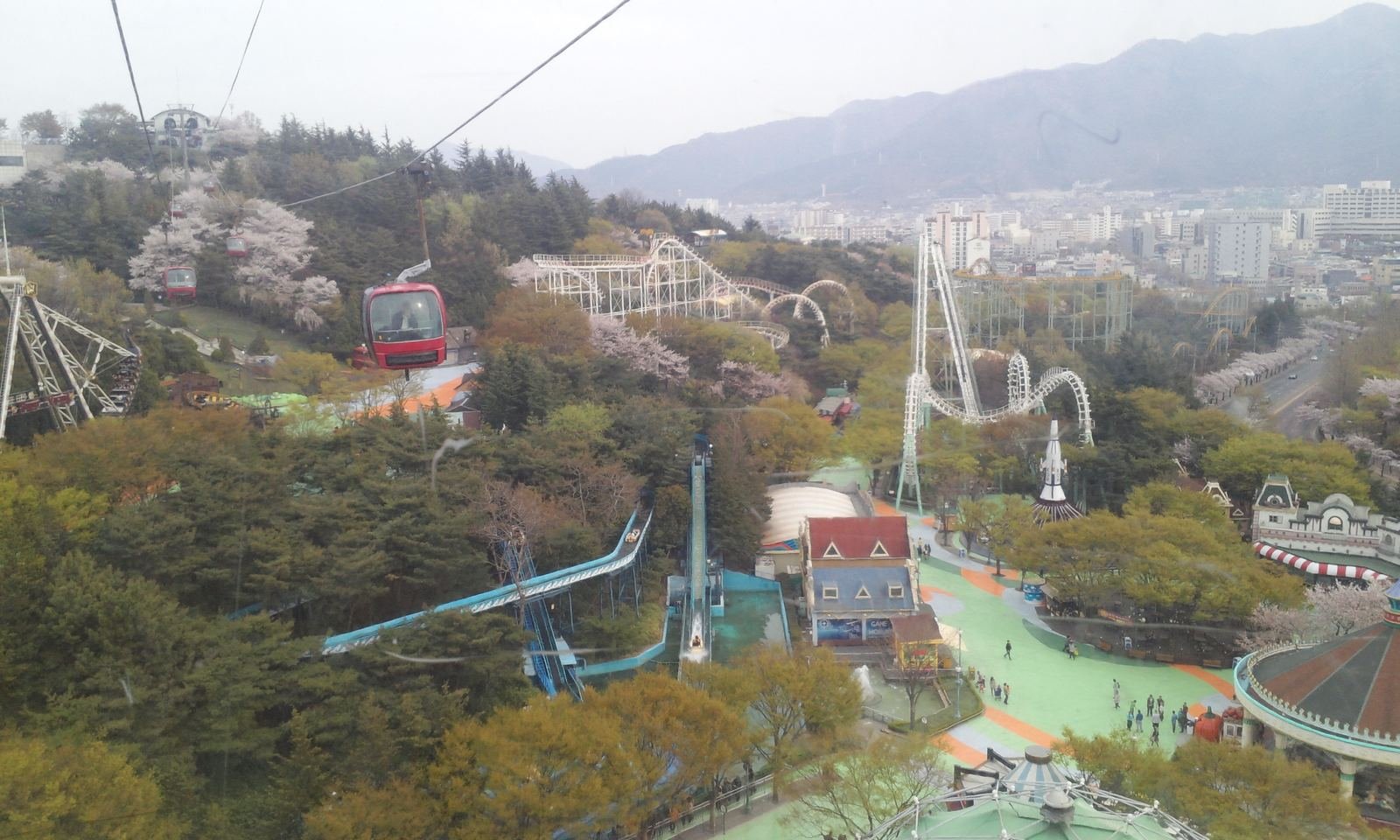 대구 이월드 자유이용권, 종일·야간 요금과 10월 운영