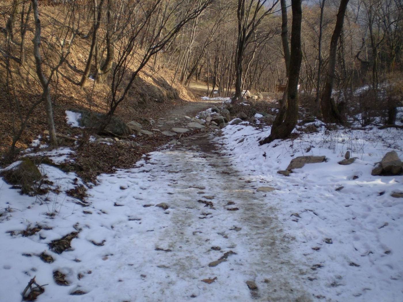Snowy dirt path through bare trees on the old road between gates 2 and 3, toward Chaekbawi