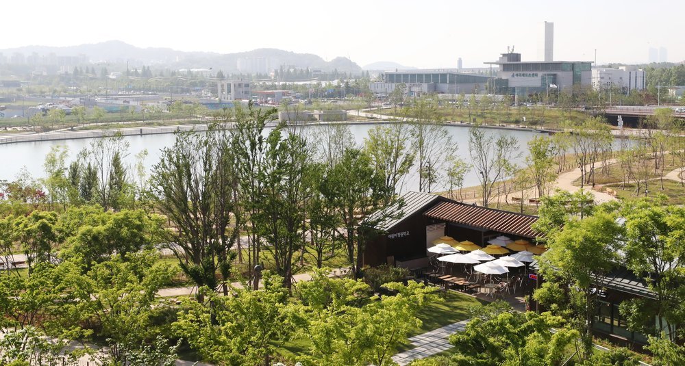 높은 곳에서 내려다본 초록 나무와 지붕 건물, 노란 파라솔이 놓인 마당 너머로 넓은 호수와 시가지 건물이 펼쳐진 서울식물원 전경