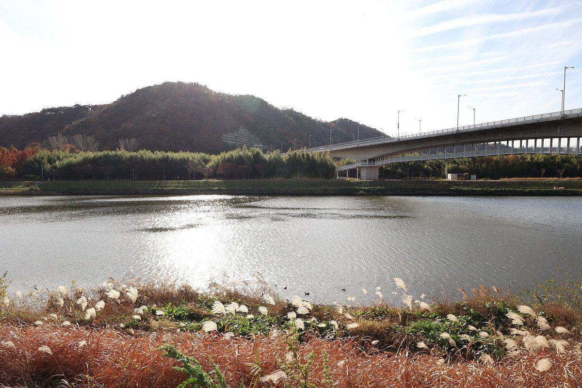 산 아래 잔잔한 강과 멀리 보이는 다리, 강가의 마른 풀