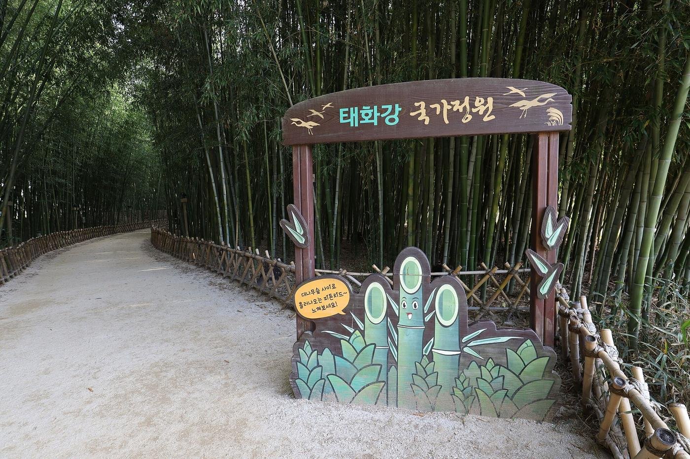 울산 태화강국가정원 2026 무료·24시간 개방, 십리대숲 은하수길과 KTX울산역 버스 가는 법